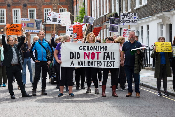 Χιλιάδες Βρετανοί ζητούν να μην θανατωθεί ένα αλπακά: «Δικαιοσύνη για τον Τζερόνιμο»»