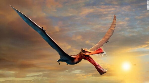 Απολίθωμα πτερόσαυρου ανακαλύφθηκε στην Αυστραλία - Ένας «δράκος» που είχε τους μικρούς δεινοσαύρους για «σνακ» 