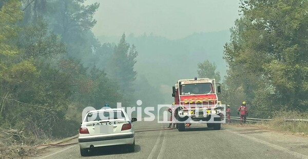 Φωτιά στη Γορτυνία: Μάχη να μην περάσει στο Μαίναλο - Εκκενώθηκε το Καλλιάνι