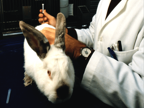 Η Βρετανία θέλει να επιτρέψει τα πειράματα σε ζώα για ουσίες καλλυντικών 