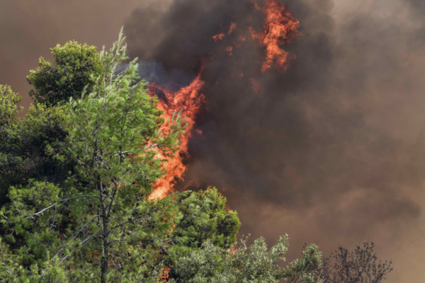 Νέα πυρκαγιά σε δασική έκταση στη Χαλκιδική 