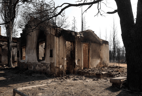 Δημοσιεύθηκε η Πράξη Νομοθετικού Περιεχομένου για τις αναδασώσεις και τα μέτρα για τους πυρόπληκτους