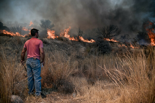 Κερατέα: Εξαπλώνεται ταχύτατα η πυρκαγιά - Εκκενώθηκαν οικισμοί, ανησυχία για τον Εθνικό Δρυμό Σουνίου (ΕΙΚΟΝΕΣ)