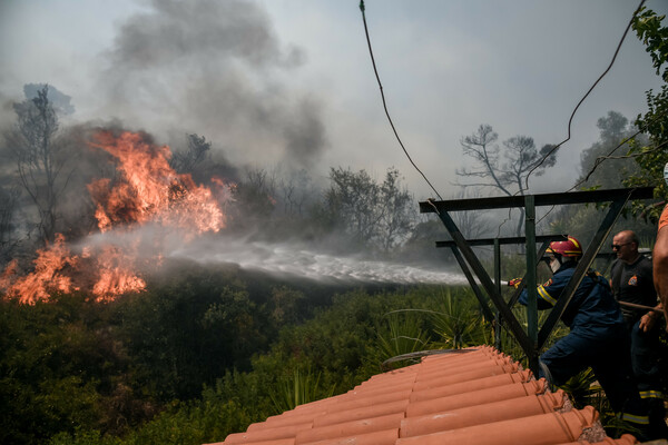 Φωτιές: Μάχη με τις φλόγες σε αυλές στην Κερατέα - Καίγεται συμπαγές δάσος στα Βίλλια
