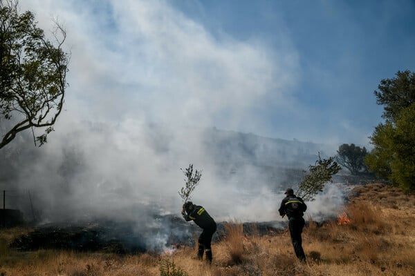 Φωτιά στα Βίλια: Εκκενώνεται ο οικισμός Βενίζα