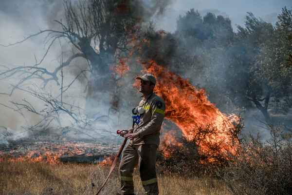 Φωτιές: Μάχη με τις φλόγες σε αυλές στην Κερατέα - Καίγεται συμπαγές δάσος στα Βίλλια
