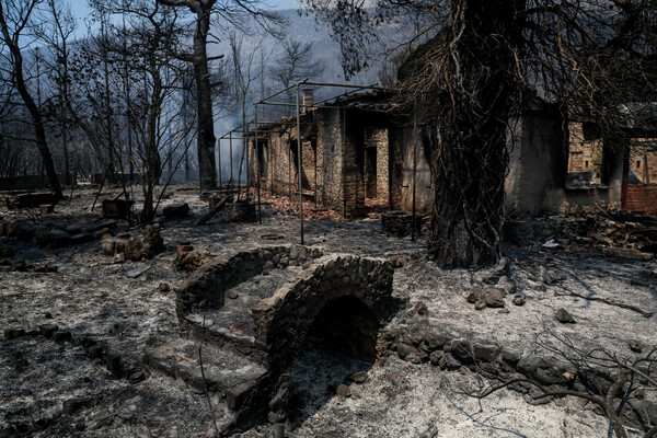 Μάχη με τις φλόγες στα Βίλια - Η φωτιά καίει παρθένο δάσος (ΕΙΚΟΝΕΣ)