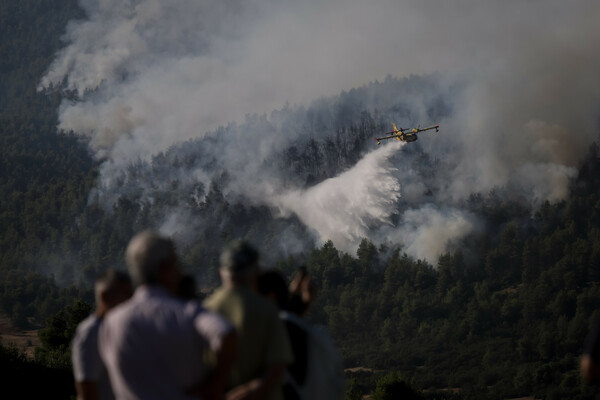 Βίλια: Καίγεται παρθένο δάσος - Φόβος για τους οικισμούς