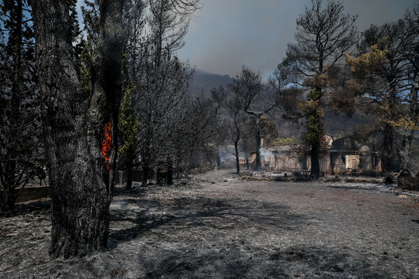 Βίλια: Ανεξέλεγκτη η φωτιά στο όρος Πατέρα – 80.000 στρέμματα στάχτη