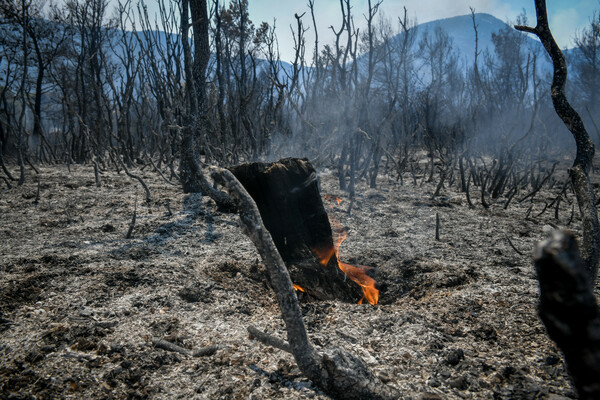 Βίλια: Ανεξέλεγκτη η φωτιά στο όρος Πατέρα – 80.000 στρέμματα στάχτη