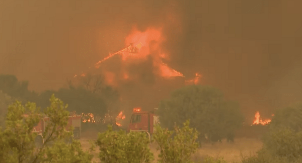 Ανεξέλεγκτη η τεράστια φωτιά στα Βίλια: Στις φλόγες σπίτια εκτός οικισμού- Οργή από τον πρόεδρο της κοινότητας