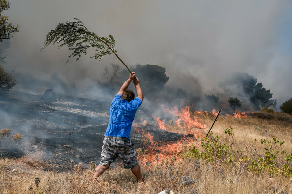 Νέα οικολογική καταστροφή στην Κερατέα: Κάηκαν χιλιάδες στρέμματα δάσους