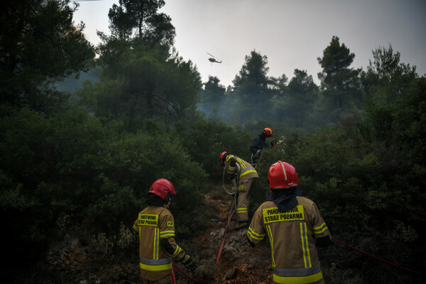 Φθιώτιδα: Αρνείται ο 14χρονος την εμπλοκή του για τις φωτιές στον Θεολόγο