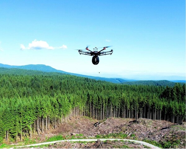 Αναδάσωση με drones: Startup θέλει να φυτέψει ένα δισεκατομμύριο δέντρα μέχρι το 2028