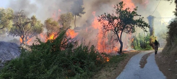 Ανεξέλεγκτη φωτιά στη Ζάκυνθο κοντά σε σπίτια – Ισχυροί άνεμοι (Βίντεο)