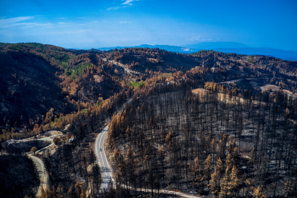 Η απόλυτη καταστροφή της Βόρειας Εύβοιας από ψηλά: Εναέριες φωτογραφίες με ό,τι άφησε πίσω της η φωτιά