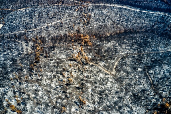 Η απόλυτη καταστροφή της Βόρειας Εύβοιας από ψηλά: Εναέριες φωτογραφίες με ό,τι άφησε πίσω της η φωτιά