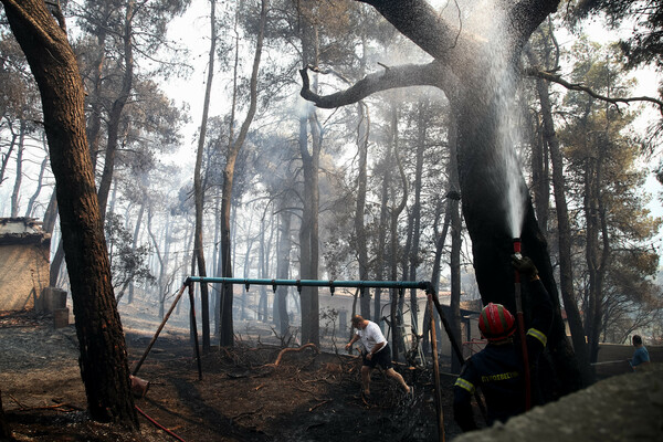 Βίλια: Μεγάλη καταστροφή από τη νέα, μεγάλη φωτιά - Κάηκαν σπίτια (Φωτορεπορτάζ)