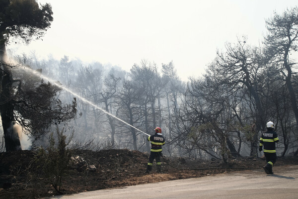 Βίλια: Μεγάλη καταστροφή από τη νέα, μεγάλη φωτιά - Κάηκαν σπίτια (Φωτορεπορτάζ)