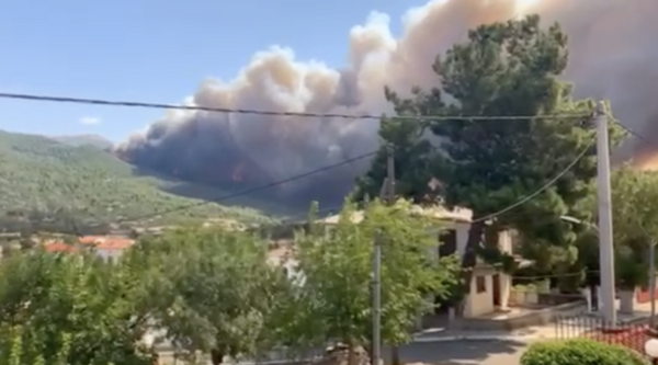 Μεγάλη πυρκαγιά, ξανά προς τα Βίλια - Ισχυροί άνεμοι (ΒΙΝΤΕΟ)