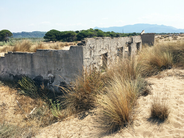 Αμμοθίνες και αυθαίρετα