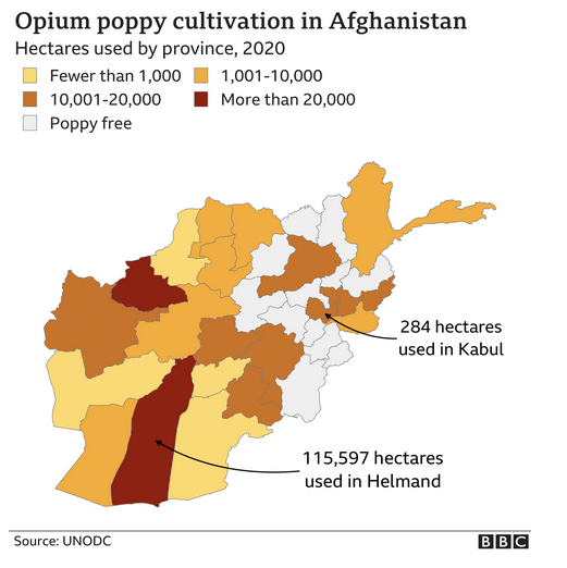 Afghanistan: How much opium is produced and what's the Taliban's record?