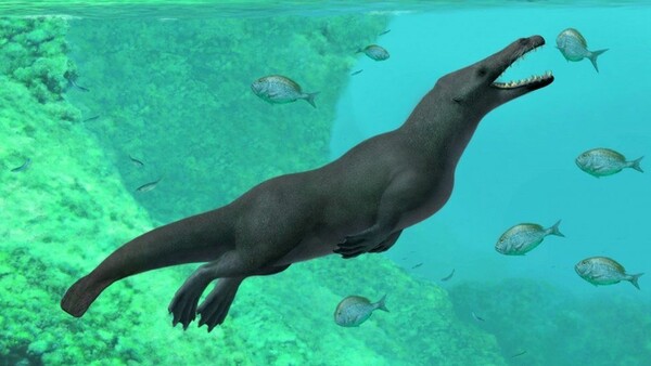 Μια προϊστορική τετράποδη φάλαινα ανακαλύφθηκε σε έρημο της Αιγύπτου