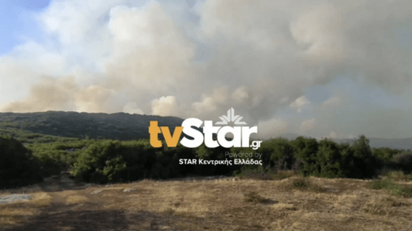 Φωτιά στη Φθιώτιδα: Εντολή εκκένωσης για το Λογγίτσι από τον Αντιπεριφερειάρχη
