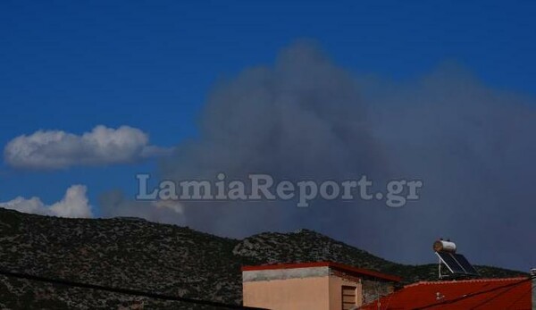 Φωτιά στη Φθιώτιδα: Εντολή εκκένωσης για το Λογγίτσι από τον Αντιπεριφερειάρχη