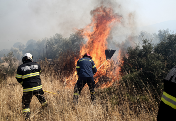 Πυρκαγιά σε δασική έκταση στην περιοχή Αλαφόκαστρο στους Δελφούς