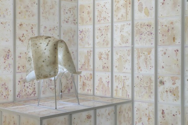 Βάκιλοι, μικρόβια, αντικαταθλιπτικά και τέχνη: Ο κόσμος της Ανίκα Γι στη μεγαλύτερη εγκατάσταση στην Tate Modern