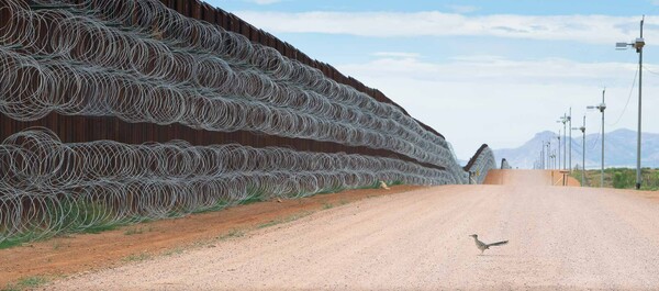 Image of bird at US-Mexico border wall wins contest