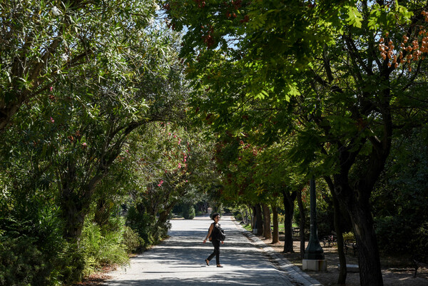 εθνικός κήπος