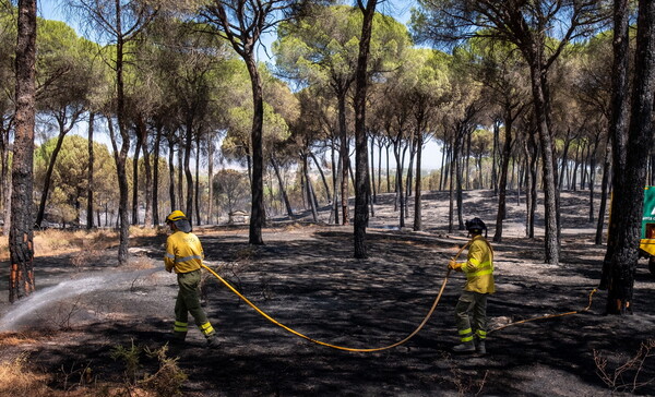 Ισπανία: Μαίνονται για πέμπτη ημέρα οι πυρκαγιές - Εκκενώνονται δύο ακόμη πόλεις στην Ανδαλουσία