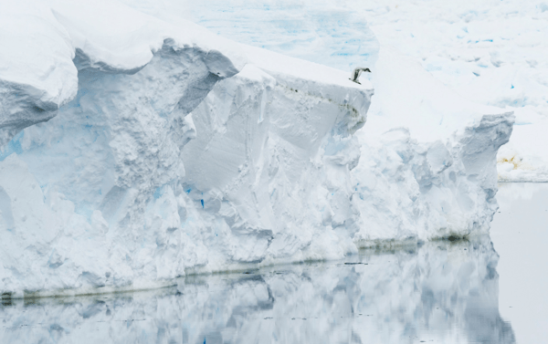 Ocean Photography Awards 2021