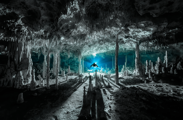 Ocean Photography Awards 2021