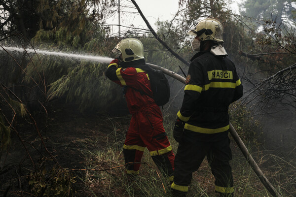 Φωτιά στην Πάρνηθα - Σημαντική κινητοποίηση της Πυροσβεστικής