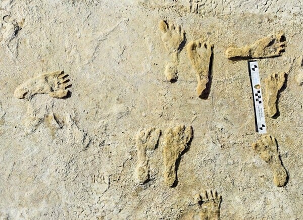 Oldest human footprints in North America found in New Mexico