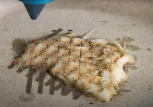 Αυτός ο «σεφ» φτιάχνει 3D printed κοτόπουλο και το μαγειρεύει με ακρίβεια λέιζερ