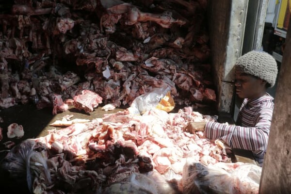Κατακραυγή στη Βραζιλία για φωτογραφίες ανθρώπων που ψάχνουν φαγητό ανάμεσα σε πτώματα ζώων