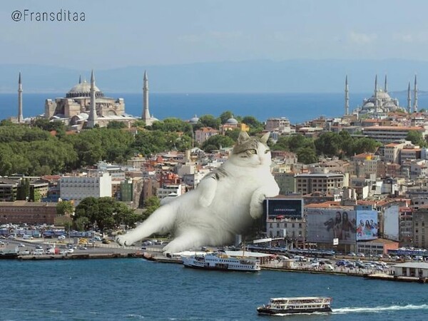 Οι υπερφυσικές γάτες που έχουν «αλώσει» το καλλιτεχνικό σύμπαν του Frandsita Muafidin