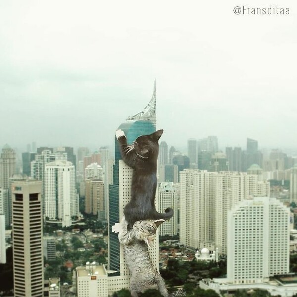 Οι υπερφυσικές γάτες που έχουν «αλώσει» το καλλιτεχνικό σύμπαν του Frandsita Muafidin 
