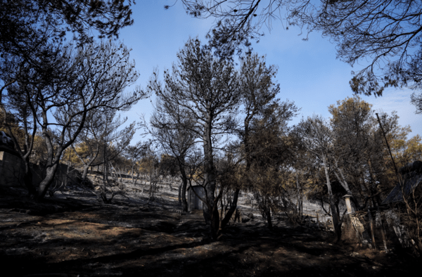 Ναύπακτος: Φωτιά σε δασική έκταση στην περιοχή Ασπριά - Αναφορές για ζημιές σε αγροικίες