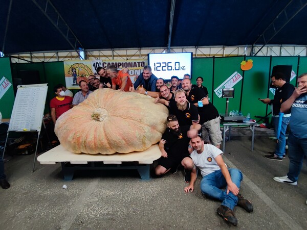 ITALY PUMPKIN RECORD