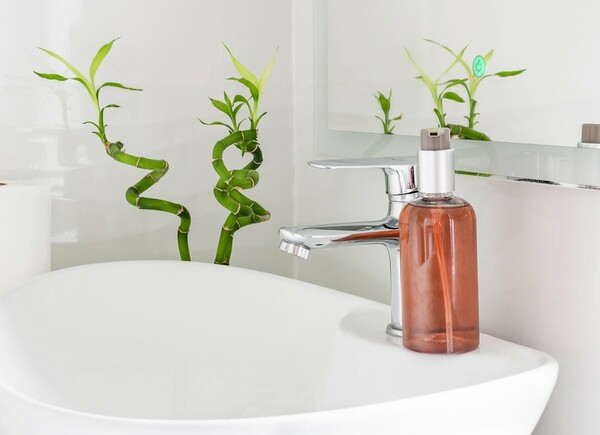 Τα δέκα καλύτερα φυτά για το μπάνιο σας