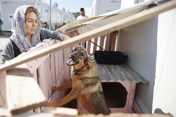 Βαγιοχώρι: Μια δομή φιλοξενίας γεμάτη σκύλους και γάτες- Οι πρόσφυγες τούς έφτιαξαν σπίτια