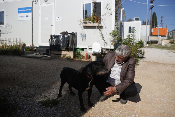 Βαγιοχώρι: Μια δομή φιλοξενίας γεμάτη σκύλους και γάτες- Οι πρόσφυγες τούς έφτιαξαν σπίτια