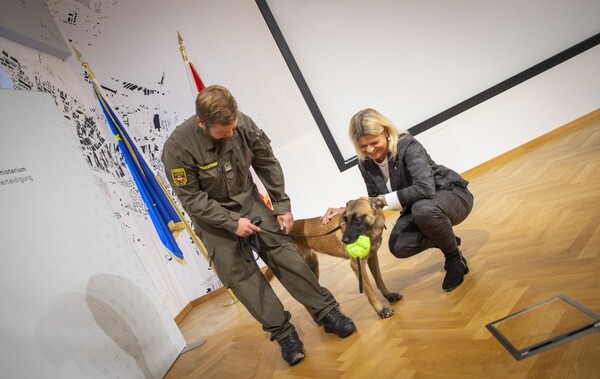 Ο αυστριακός στρατός εκπαίδευσε σκύλους να εντοπίζουν με την όσφρηση τον κορωνοϊό