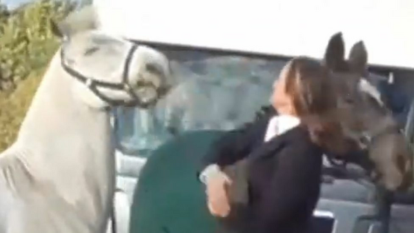 Οργή για την γυναίκα που κλωτσάει και χτυπά ένα άλογο- «Πραγματικά θλιβερό»