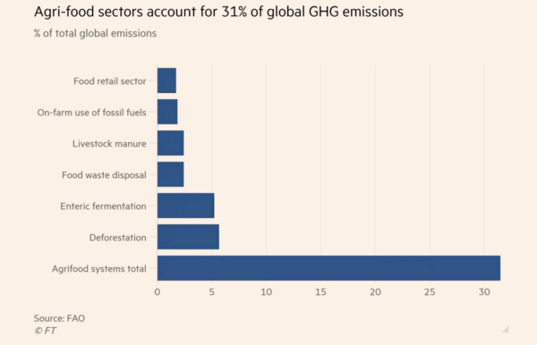 Food systems emissions rose 17% over past three decades, UN says